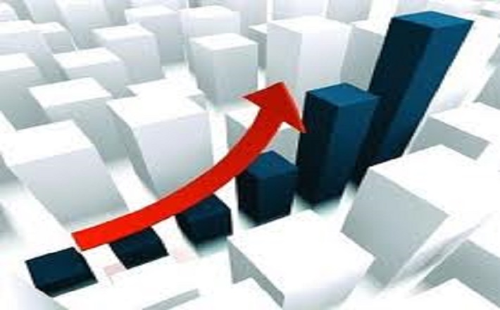 kamu mali yönetimi-2