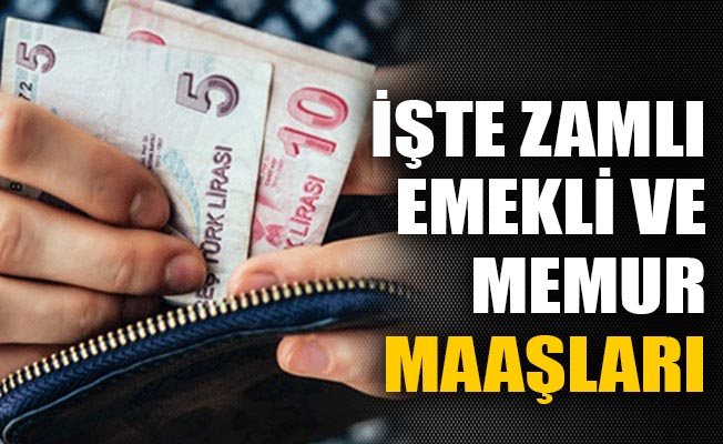 iste_zamli_emekli_ve_memur_maaslari_h90015_d7b9d[1]