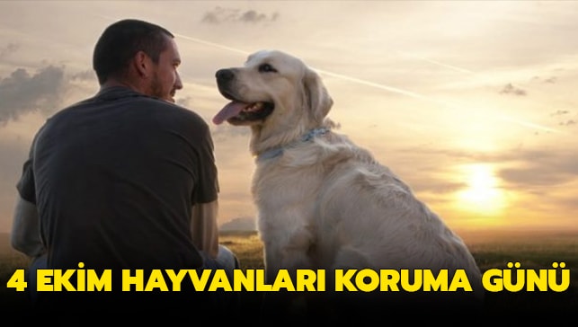 041020190818142596299_2